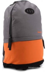 Fastrack 14 inch Laptop Backpack(Grey)